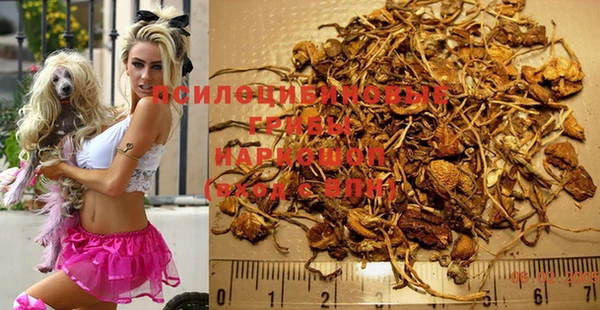 стаф Заволжск